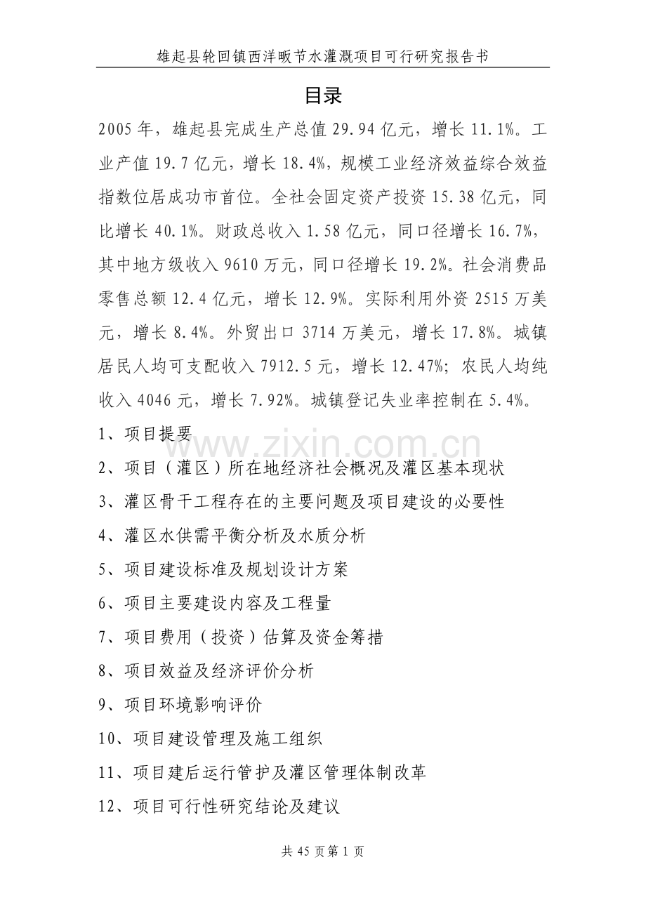 镇节水配套改造项目申请建设可行性分析报告(参考必备-经典).doc_第1页