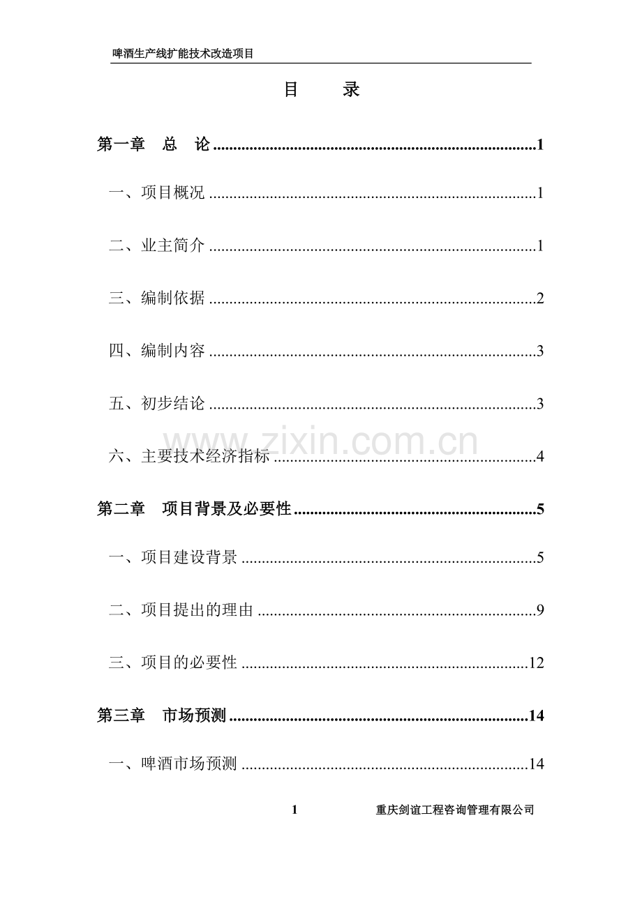 啤酒线扩能技术改造项目商业策划报告.doc_第1页