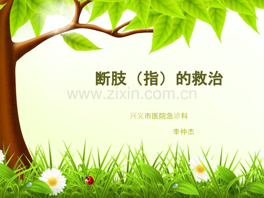 断肢的救治.ppt_第1页