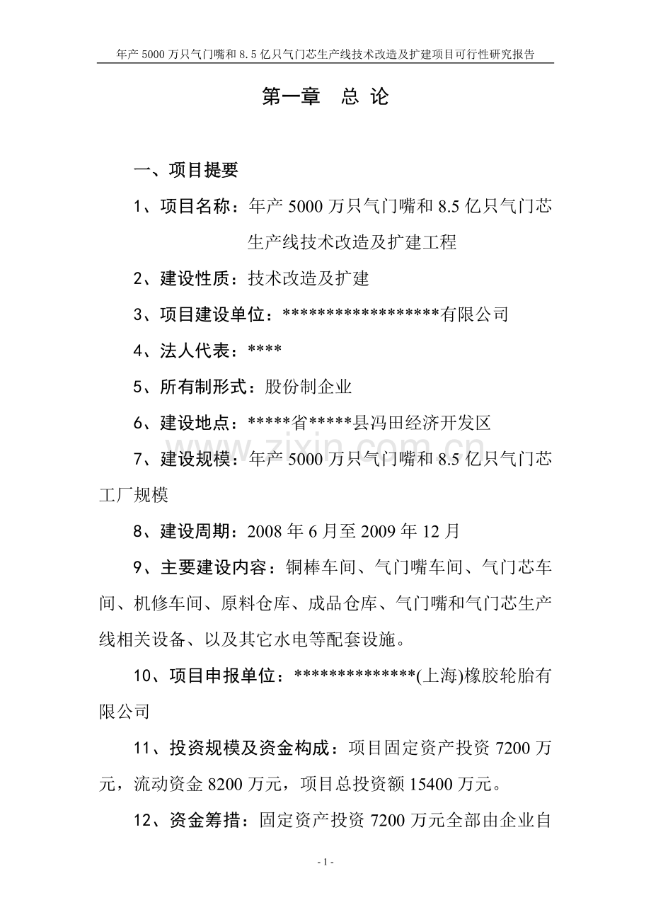 年产5000万只气门嘴和8.5亿只气门芯生产线技术改造及扩建项目建设可行性研究报告.doc_第1页