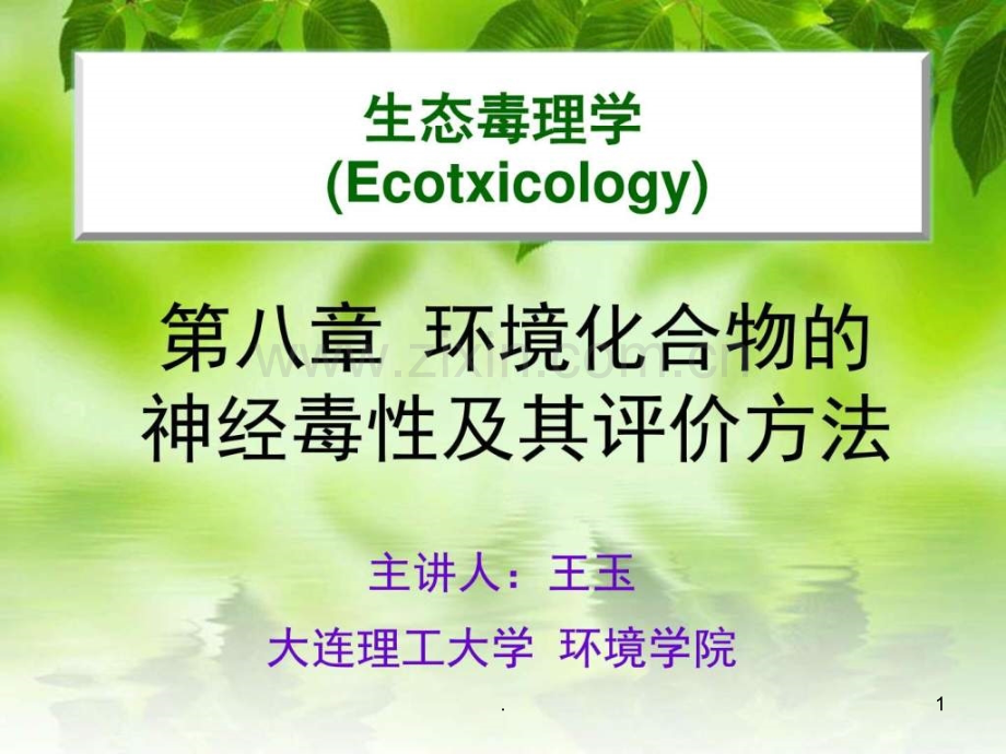 王玉-环境化合物的神经毒性及其评价方法ppt课件.ppt_第1页