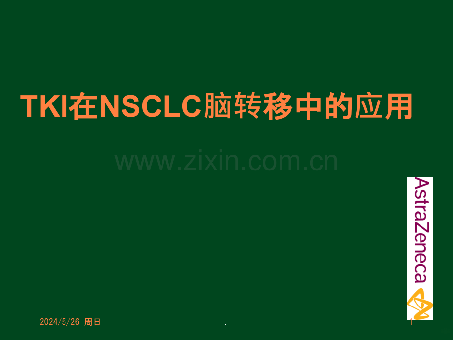 TKI在治疗脑转移中的应用ppt课件.pptx_第1页