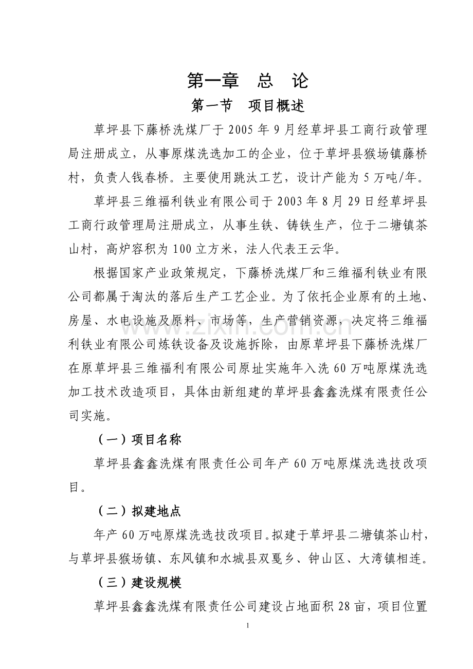 年入洗原煤80万吨技改工程项目建设投资可行性研究报告书.doc_第1页