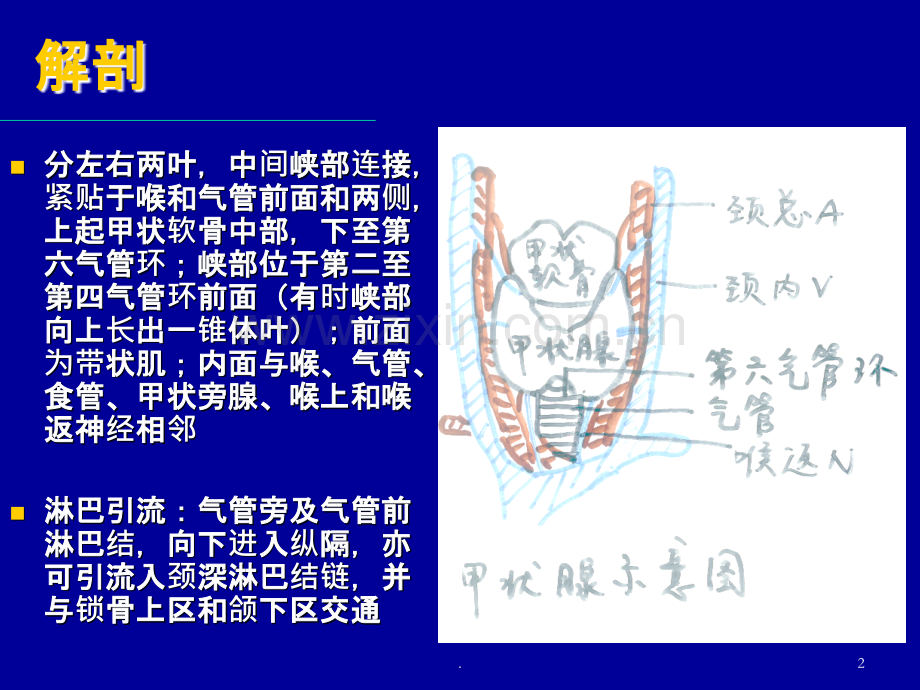 甲状腺癌讲课.ppt_第2页