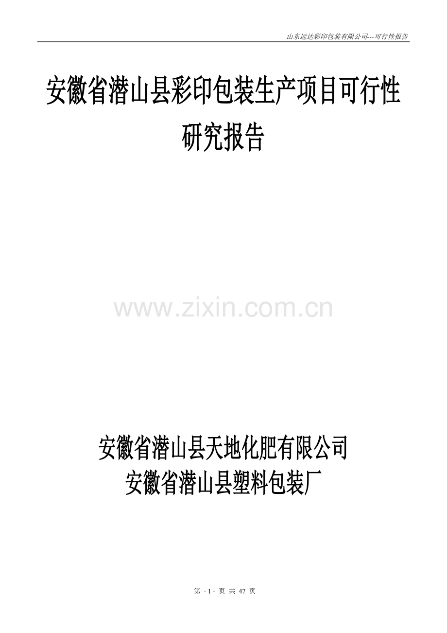 山东远达彩印包装有限公司彩印包装生产项目可行性研究报告.doc_第1页