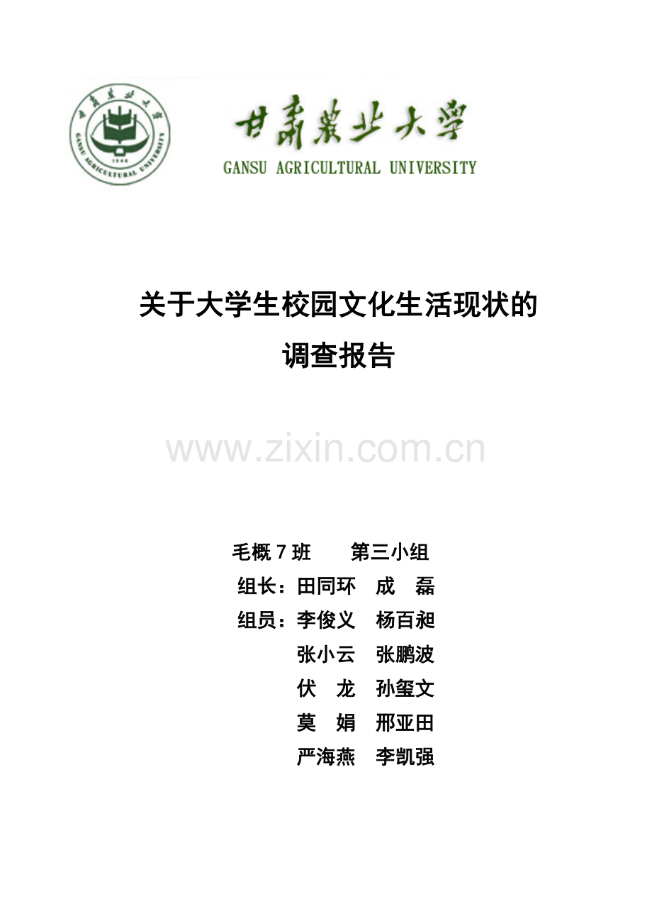 大学生文化生活调查报告.doc_第1页
