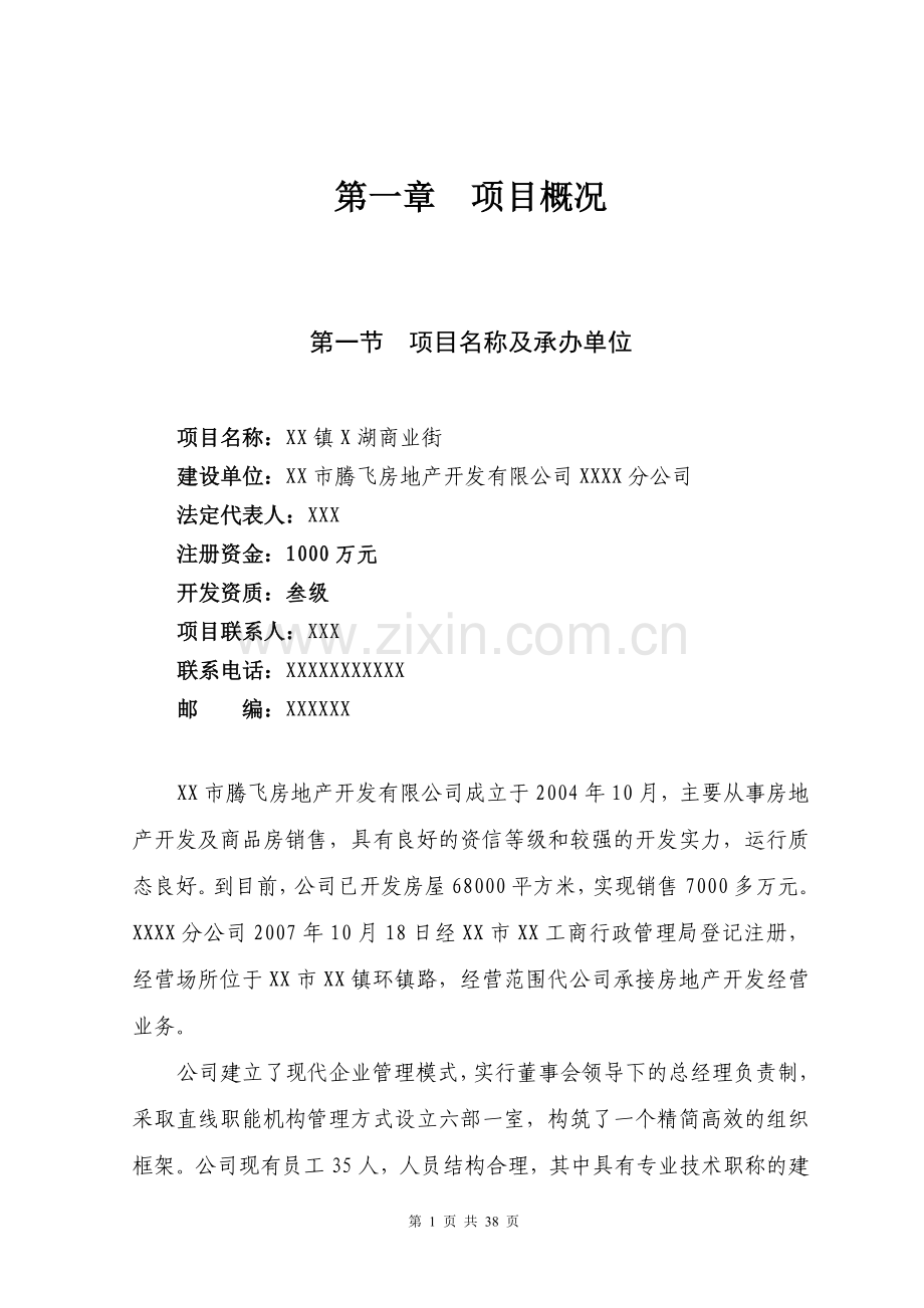 某镇商业街项目投资可行性研究报告.doc_第1页