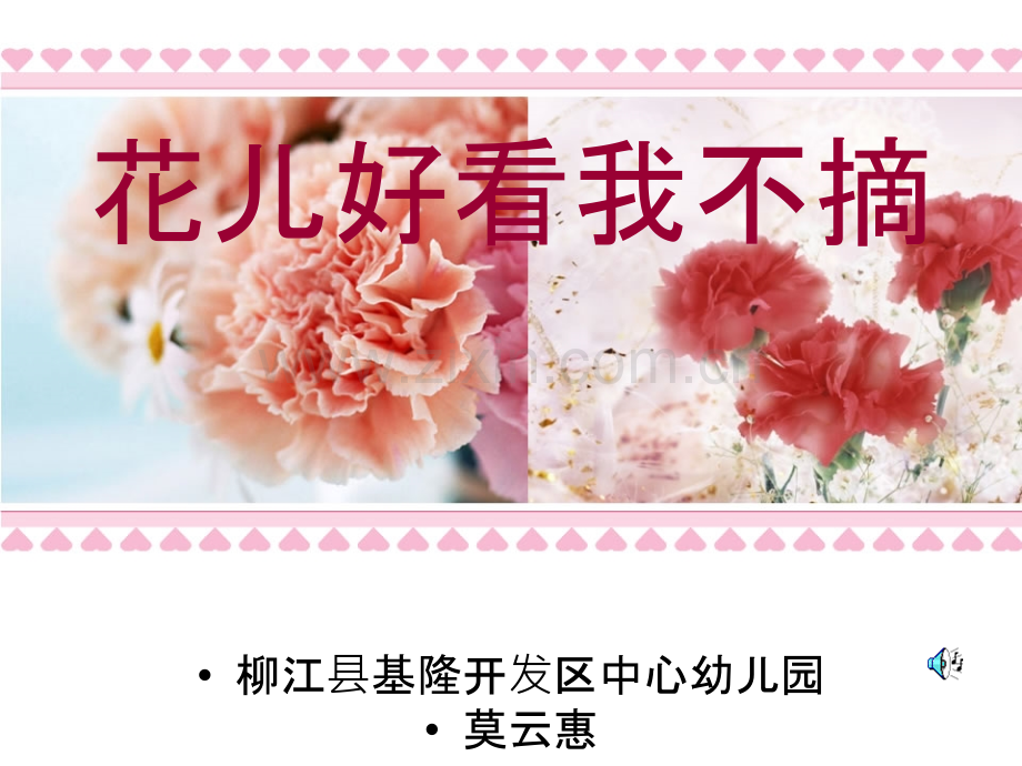 花儿好看我不摘.ppt_第1页