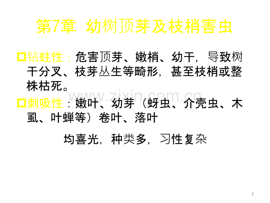林木枝梢害虫及其防治ppt课件.ppt_第2页