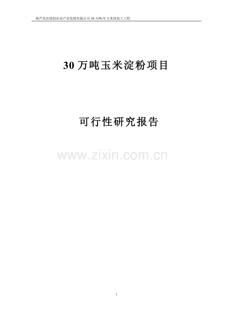 30万吨玉米淀粉建设可行性研究报告.doc_第1页