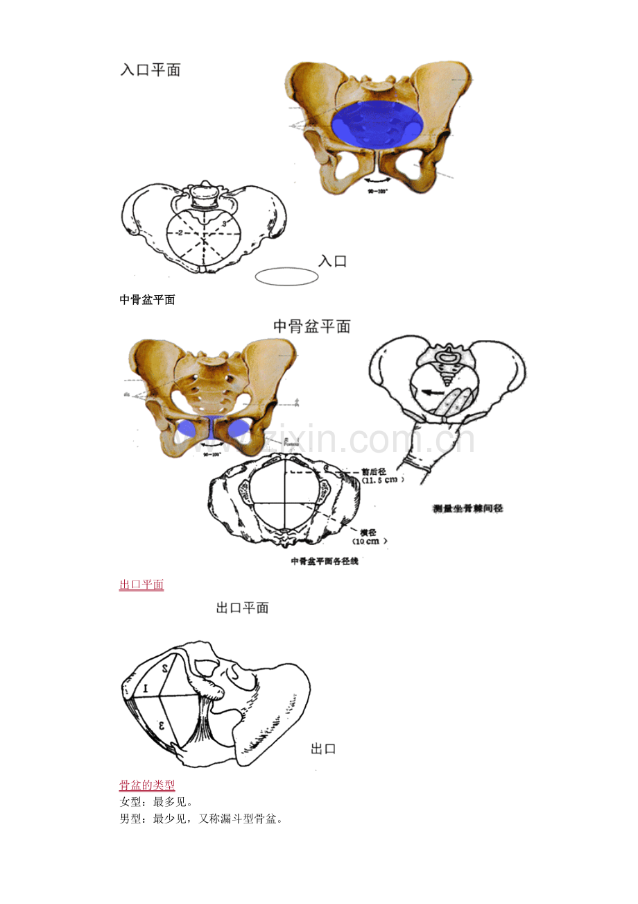 中西医结合执业医师《妇科学》冲刺课程串讲讲义—--教材讲义.doc_第2页