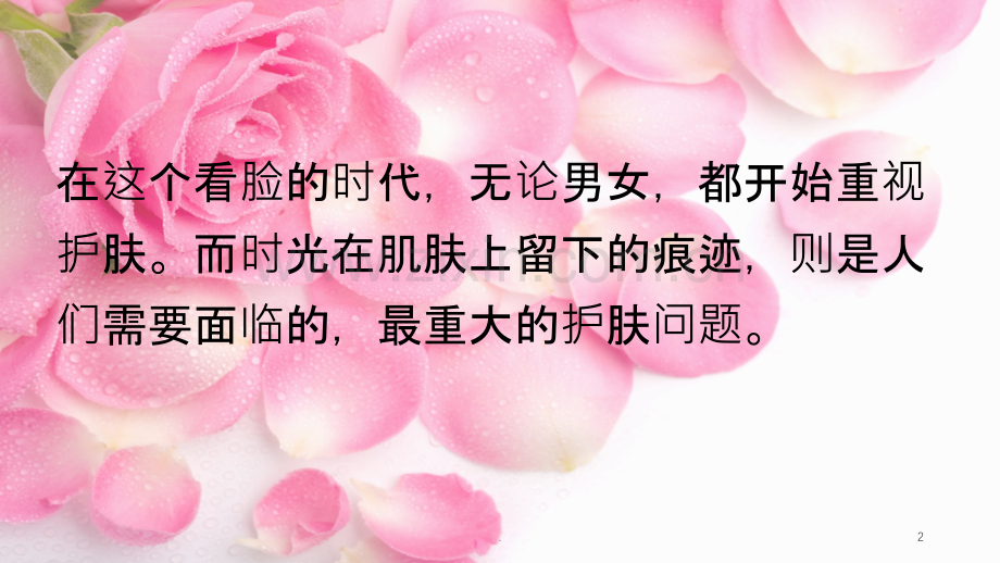 三草两木解决护肤常见问题.ppt_第2页
