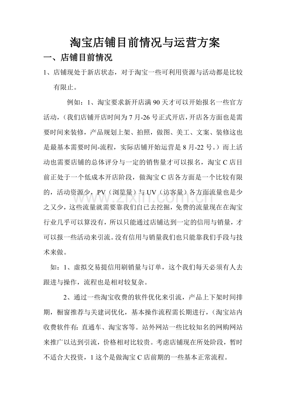 淘宝店铺运营规化方案.doc_第1页