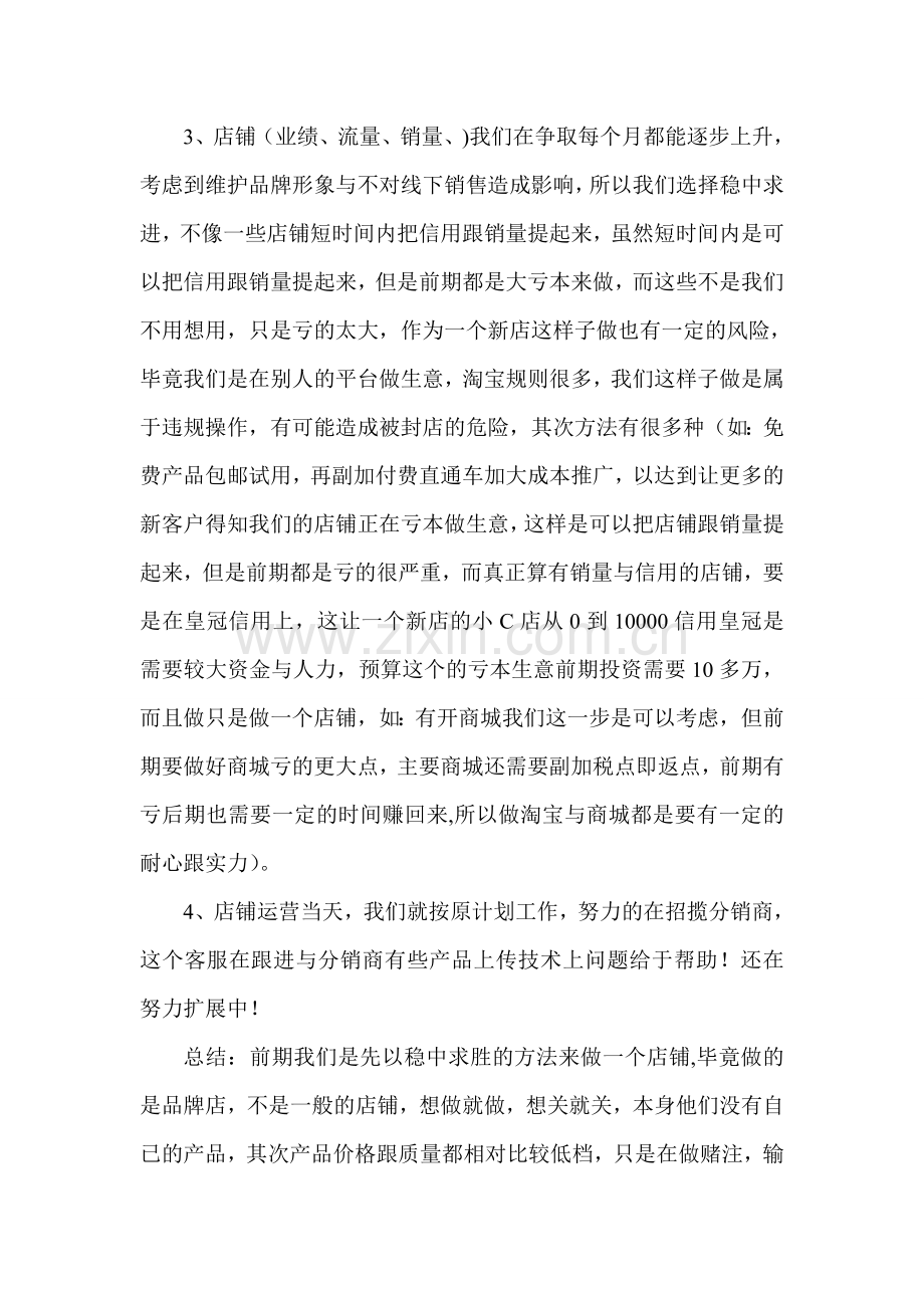 淘宝店铺运营规化方案.doc_第2页