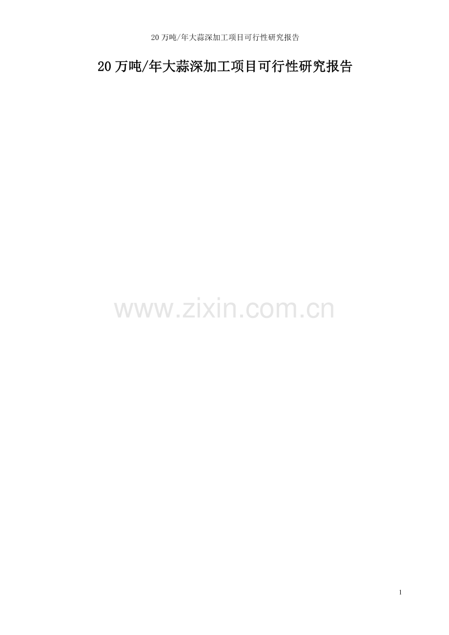 20万吨年大蒜深加工项目可行性研究报告.doc_第1页