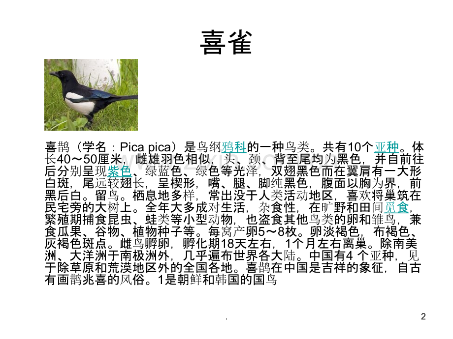 吉林省常见的鸟类.ppt_第2页