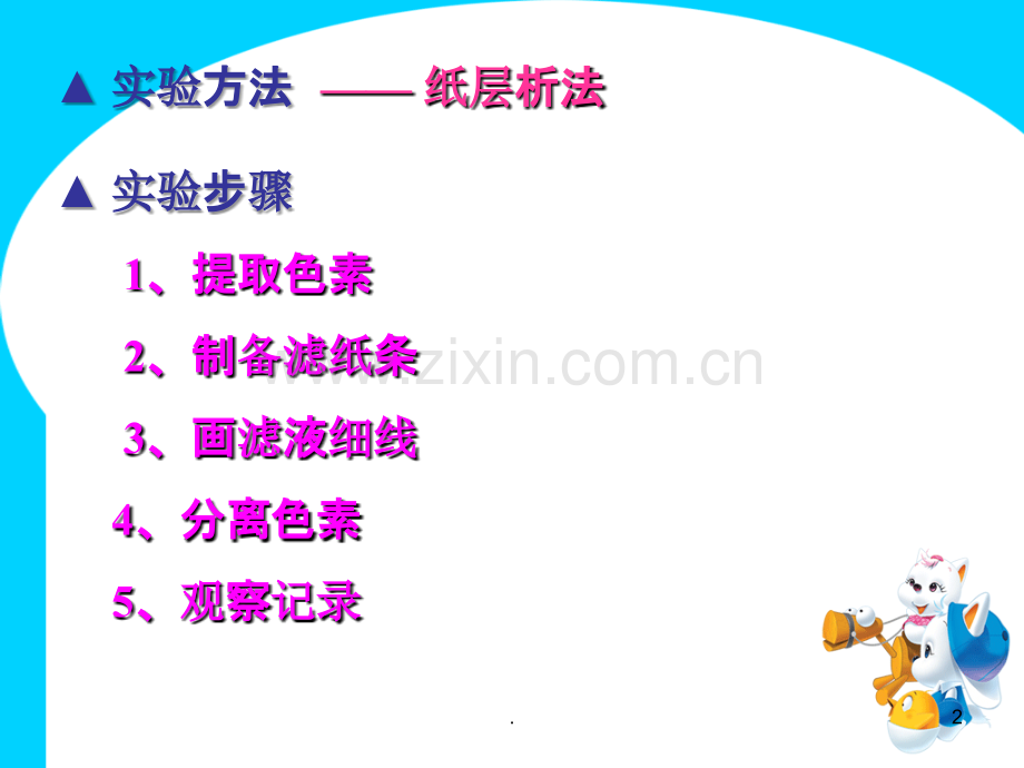 光合作用色素的提取和分离.ppt_第2页