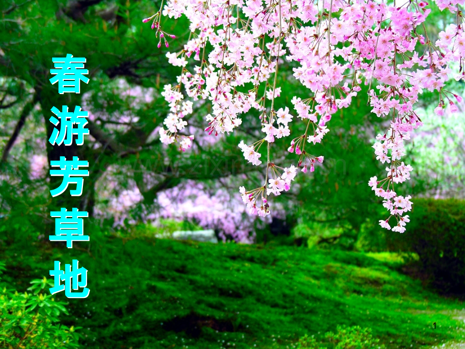 飞花令---雪.ppt_第1页