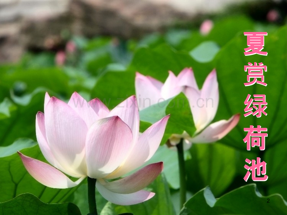 飞花令---雪.ppt_第2页