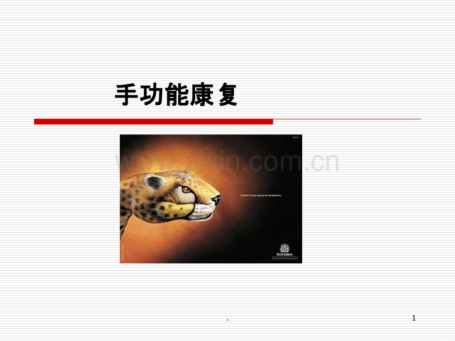 手功能康复.ppt_第1页