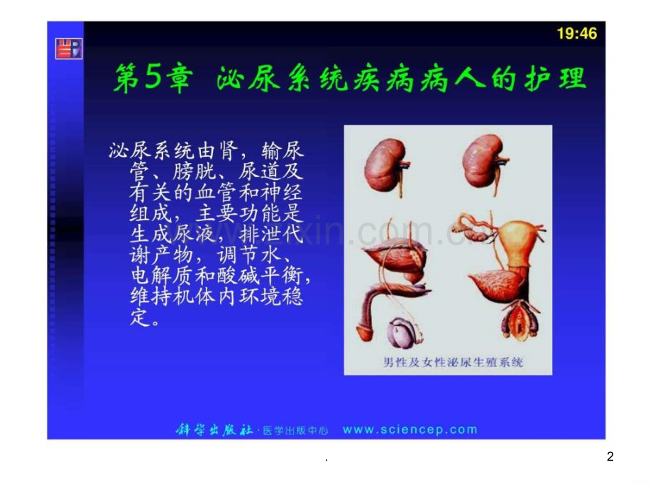 泌尿-内科护理学ppt课件.ppt_第2页