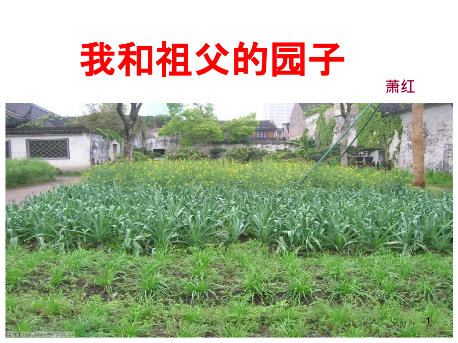 《我和祖父的园子》.ppt_第1页