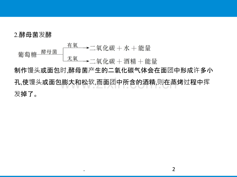 第五节-人类对细菌和真菌的利用.ppt_第2页