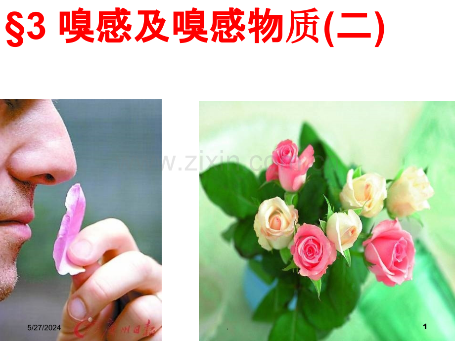 食品风味化学-嗅感及嗅感物质(二).ppt_第1页