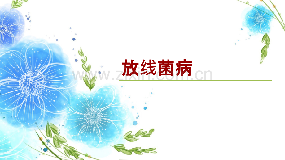 放线菌病.ppt_第1页
