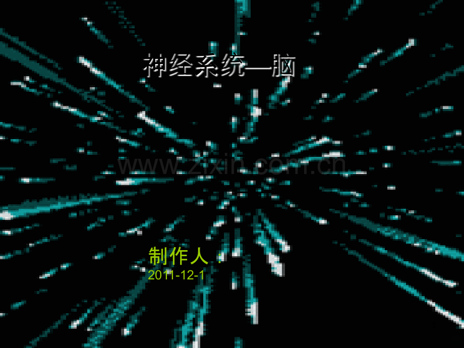 神经系统ppt课件.ppt_第1页