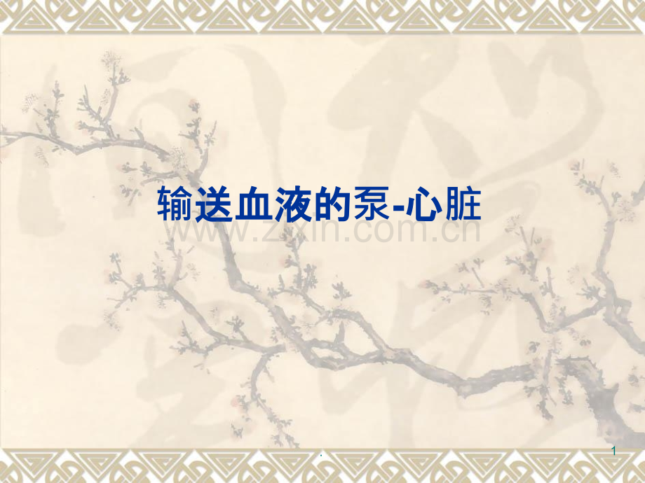 输送血液的泵心脏ppt课件.ppt_第1页