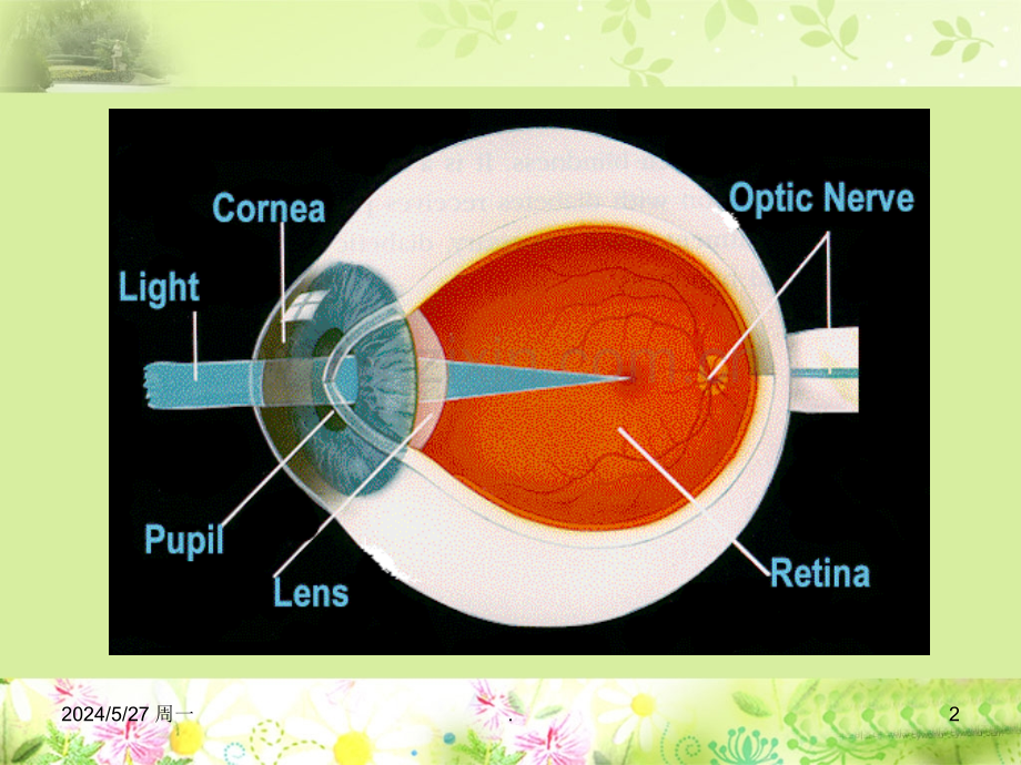 人工晶状体度数的计算.ppt_第2页