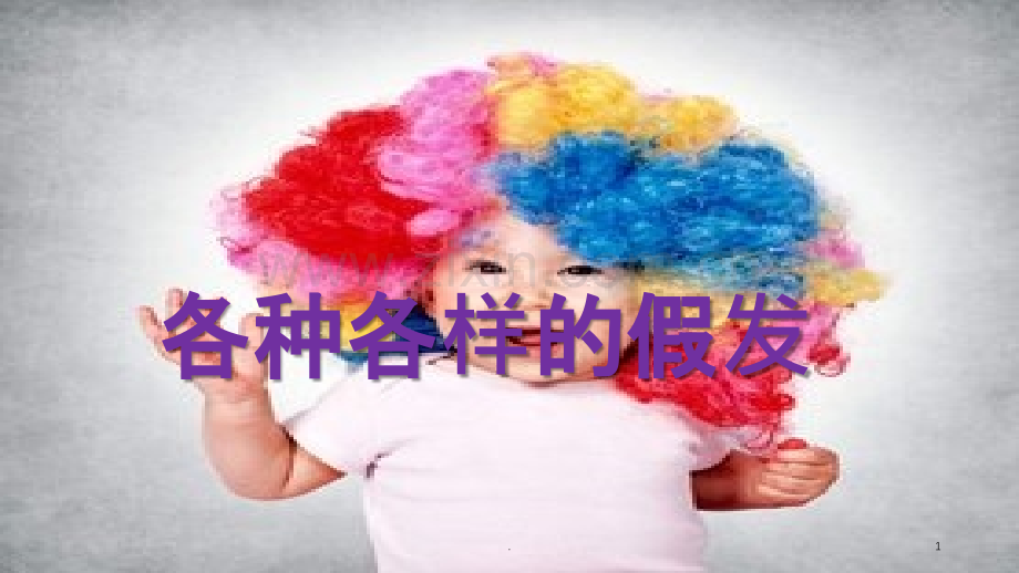 各种各样的假发-.ppt_第1页