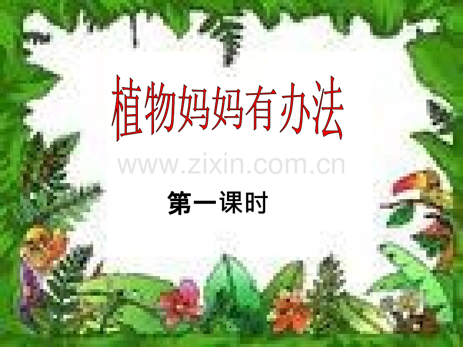 植物妈妈有办法课件.ppt_第1页