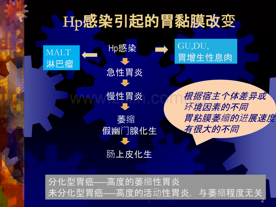 Hp感染和内窥镜表现.ppt_第2页