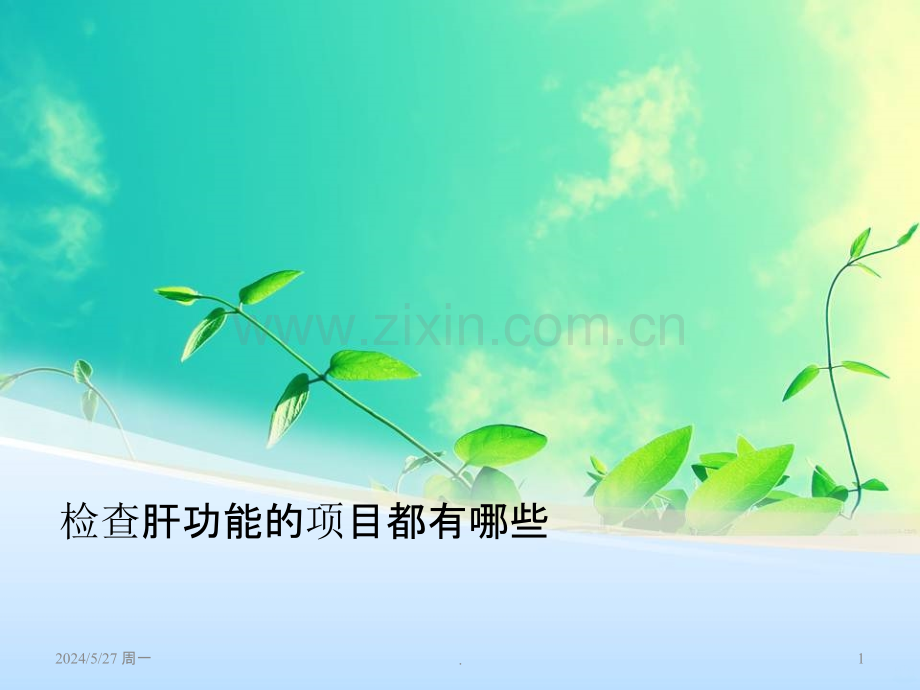 检查肝功能的项目都有哪些.ppt_第1页