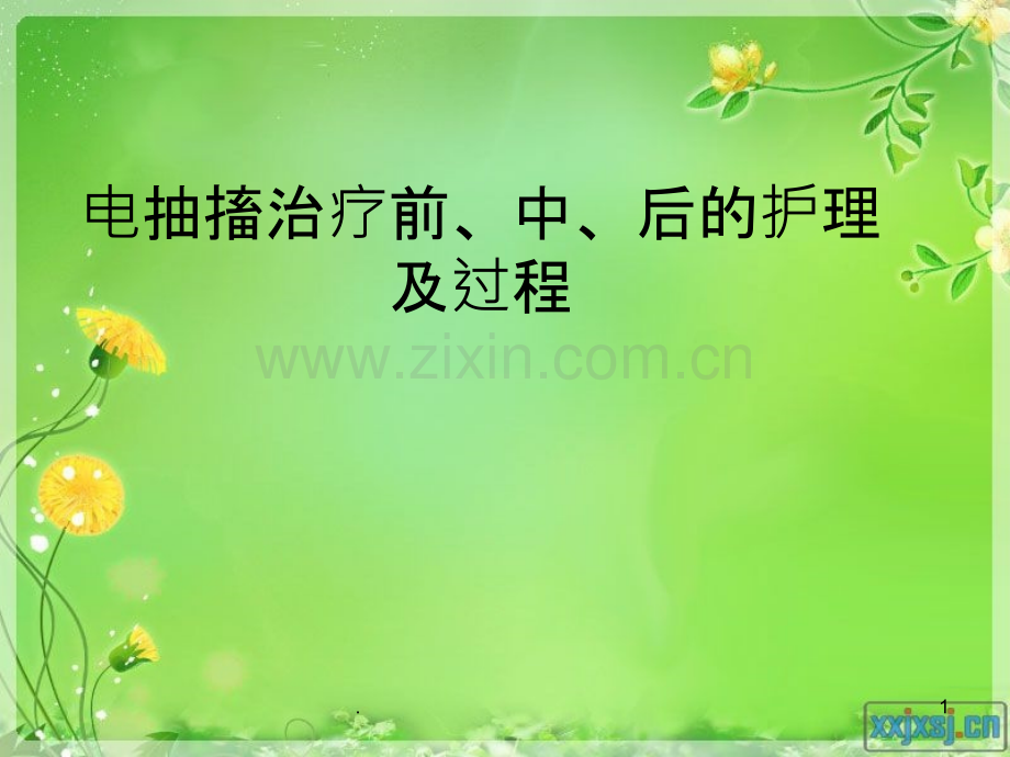 电抽搐治疗过程的护理.ppt_第1页