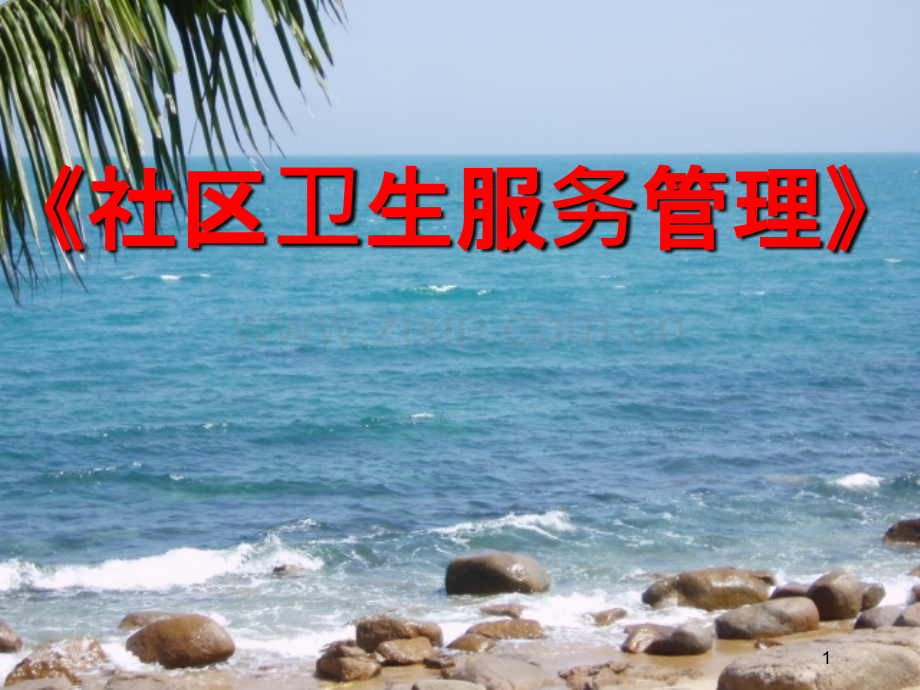 社区卫生服务管理.ppt_第1页