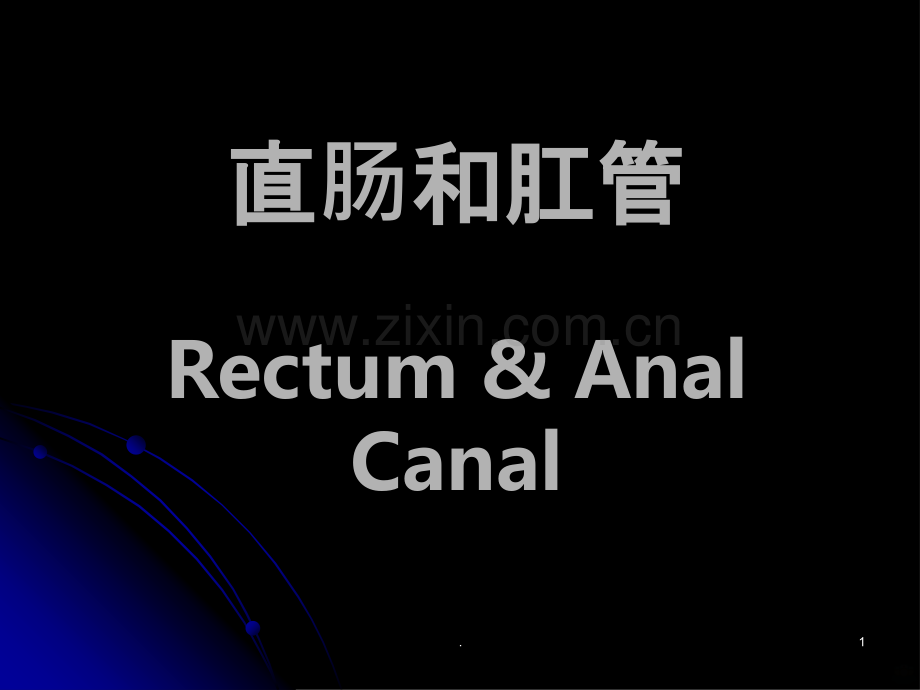 直肠和肛管.ppt_第1页