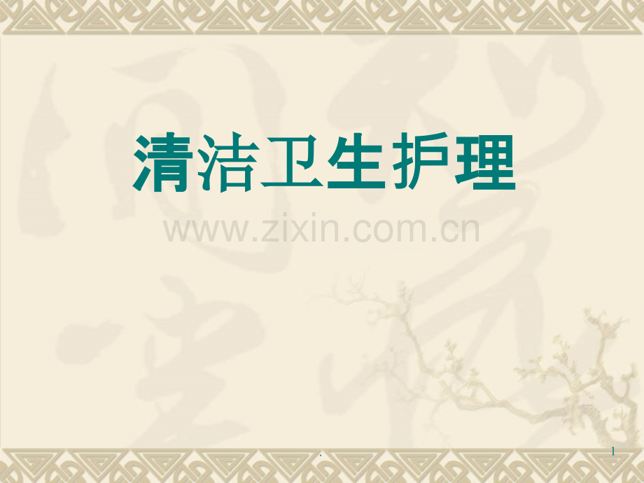 清洁护理(修改版).ppt_第1页