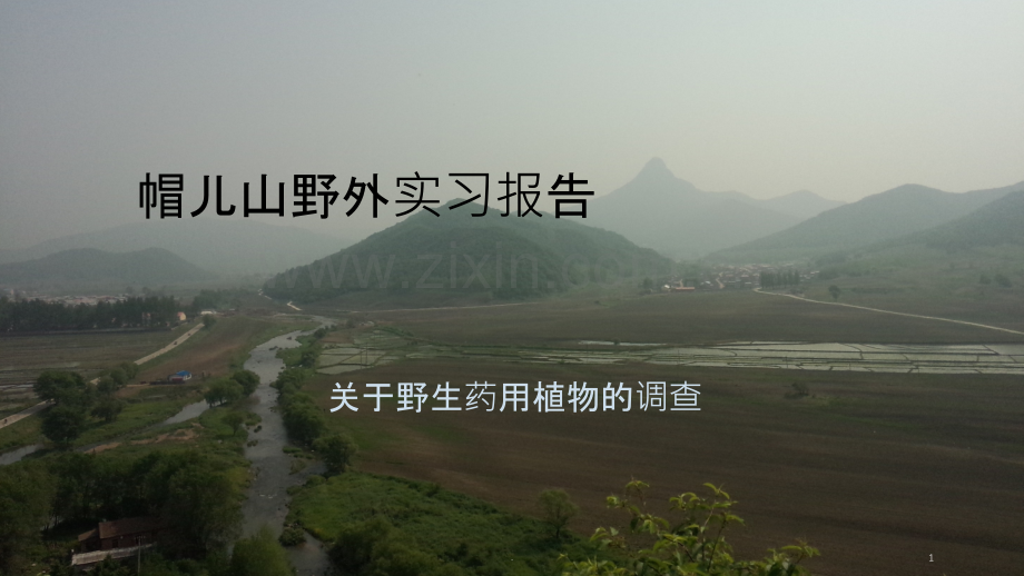 帽儿山野外实习报告.ppt_第1页