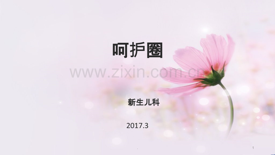 新生儿科品管圈.ppt_第1页