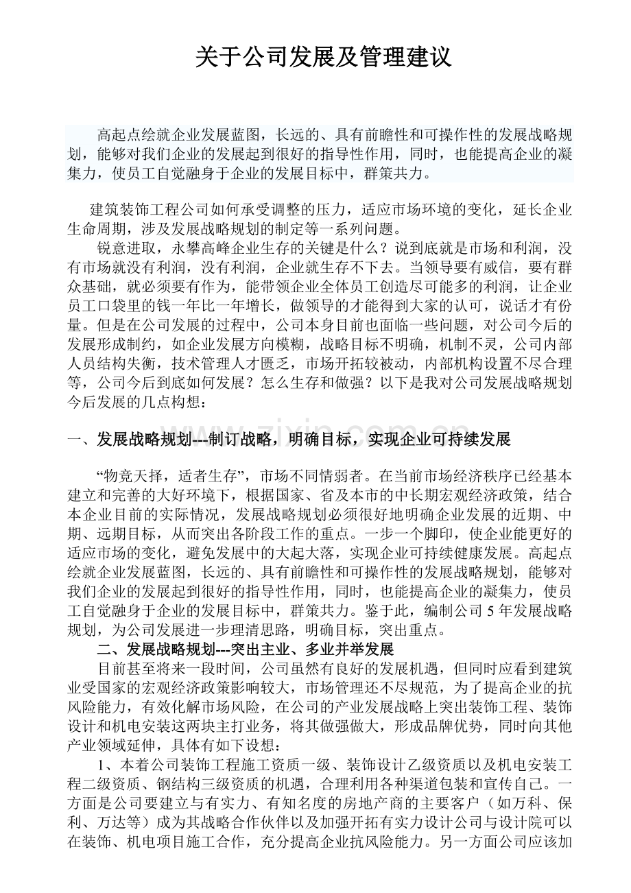关于公司发展及管理建议.doc_第1页