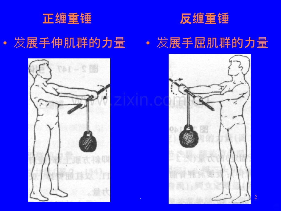 肌力量锻炼的方法ppt课件.ppt_第2页