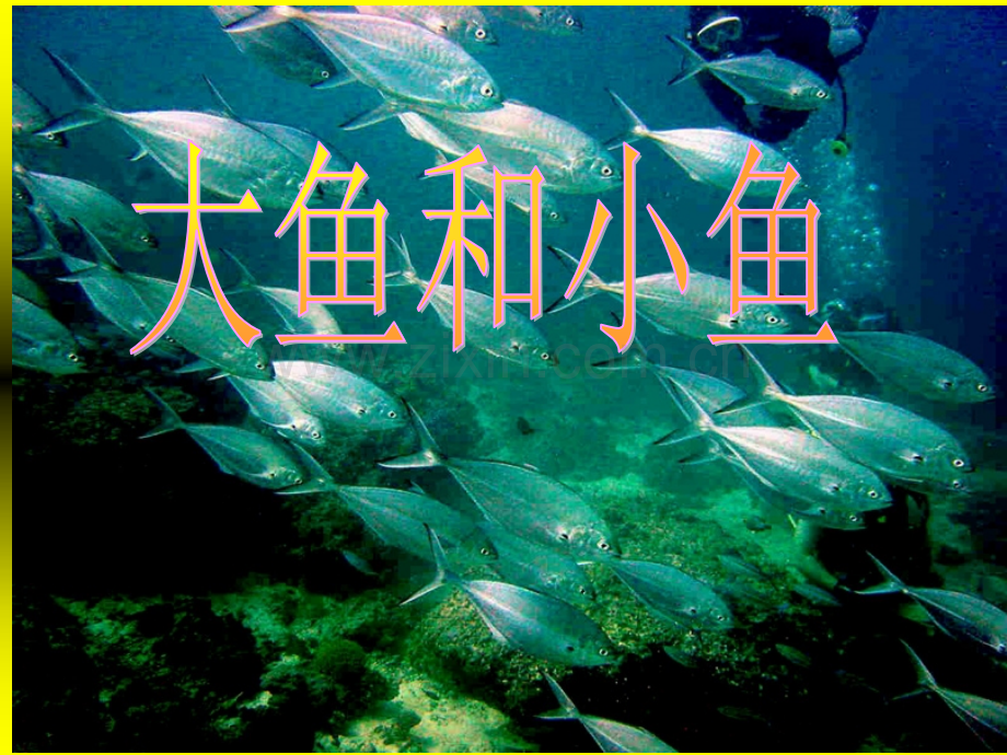 小学美术《大鱼和小鱼》.ppt_第1页