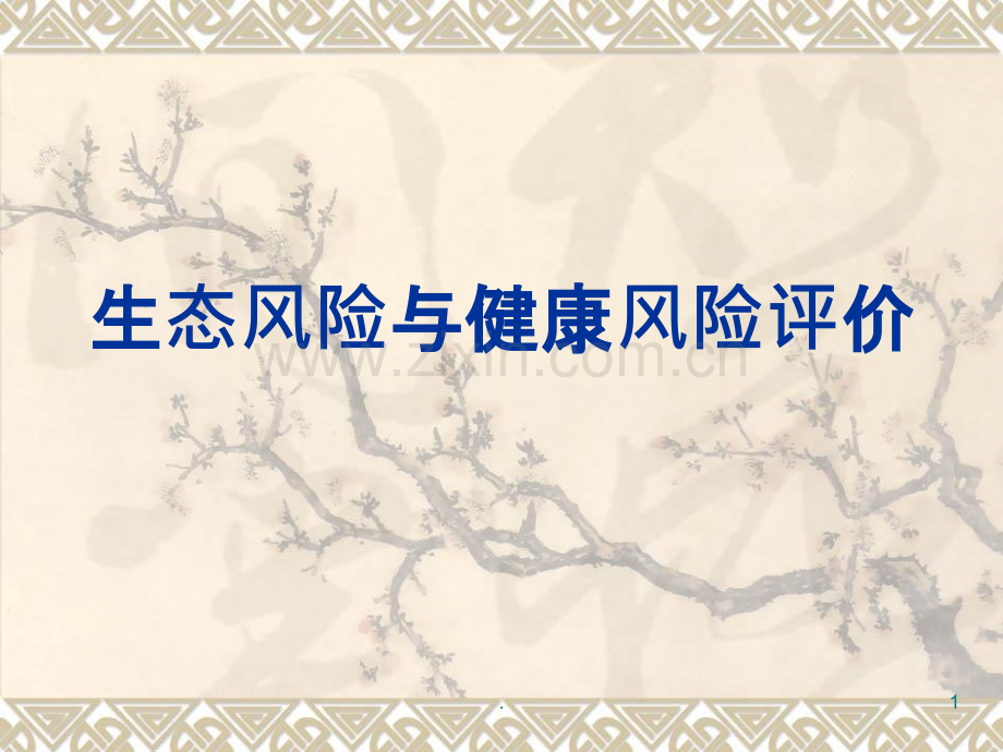 生态风险与健康风险评价ppt课件.ppt_第1页