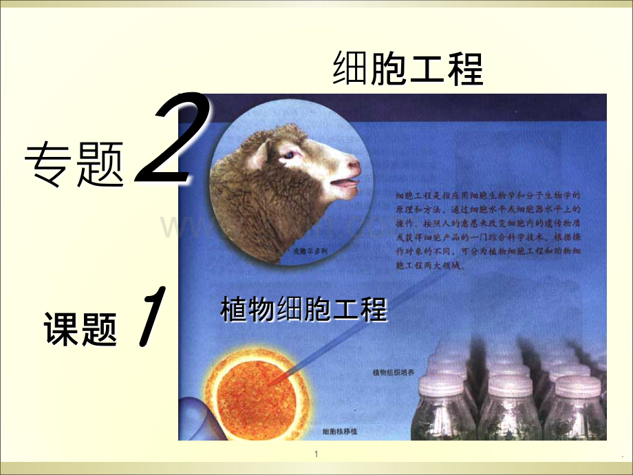 植物细胞工程ppt.ppt_第1页