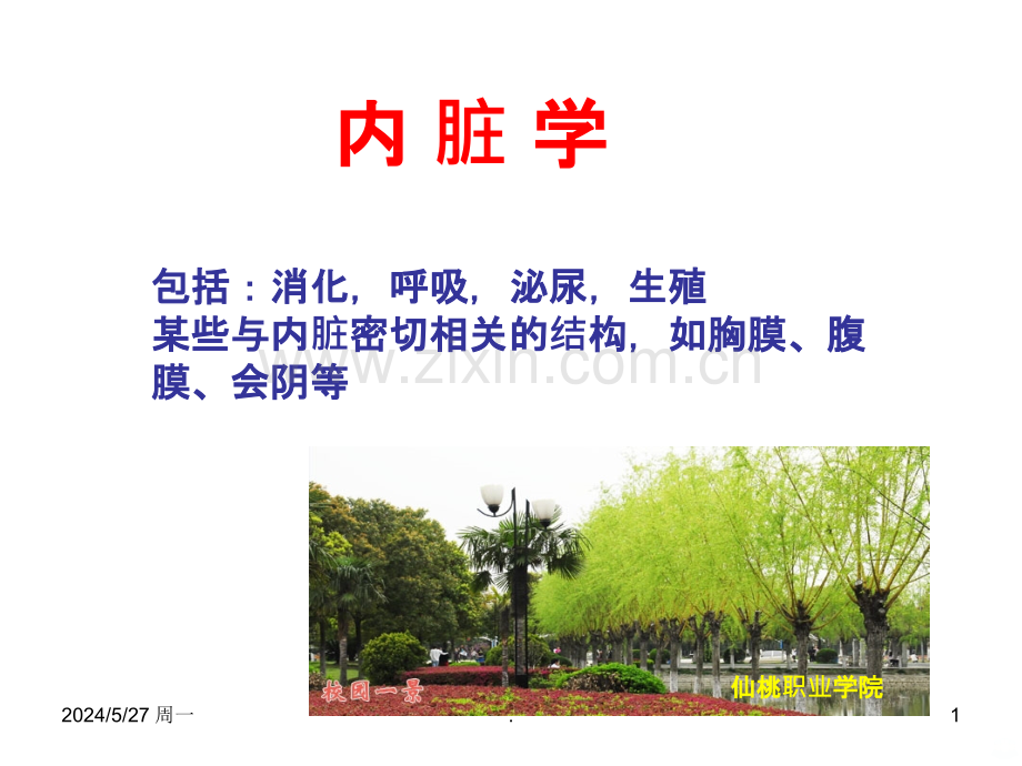 消化系统概述-口腔.ppt_第1页