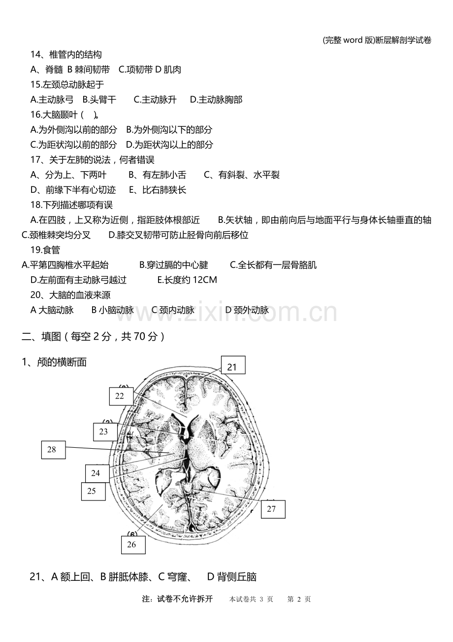 断层解剖学试卷.doc_第2页