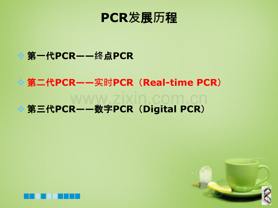 Real-time-PCR及产品介绍.ppt_第2页
